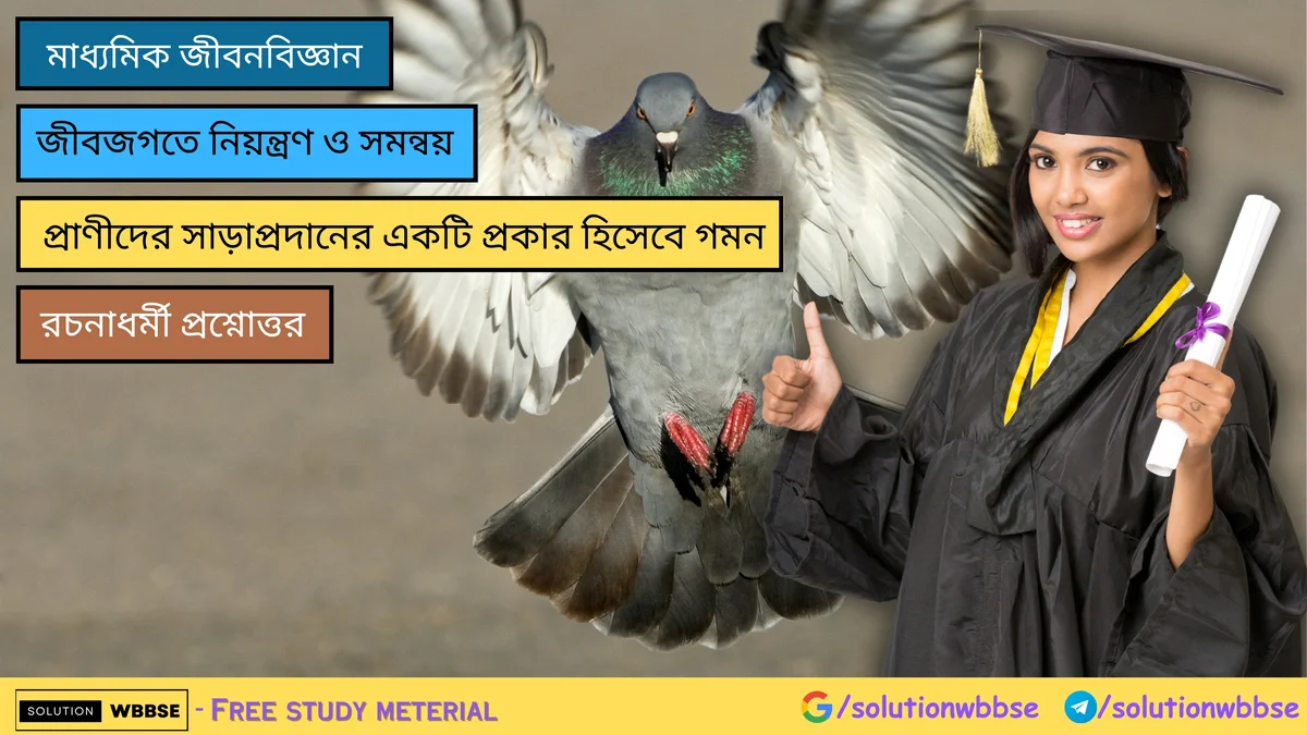 প্রাণীদের সাড়াপ্রদানের একটি প্রকার হিসেবে গমন – রচনাধর্মী প্রশ্নোত্তর