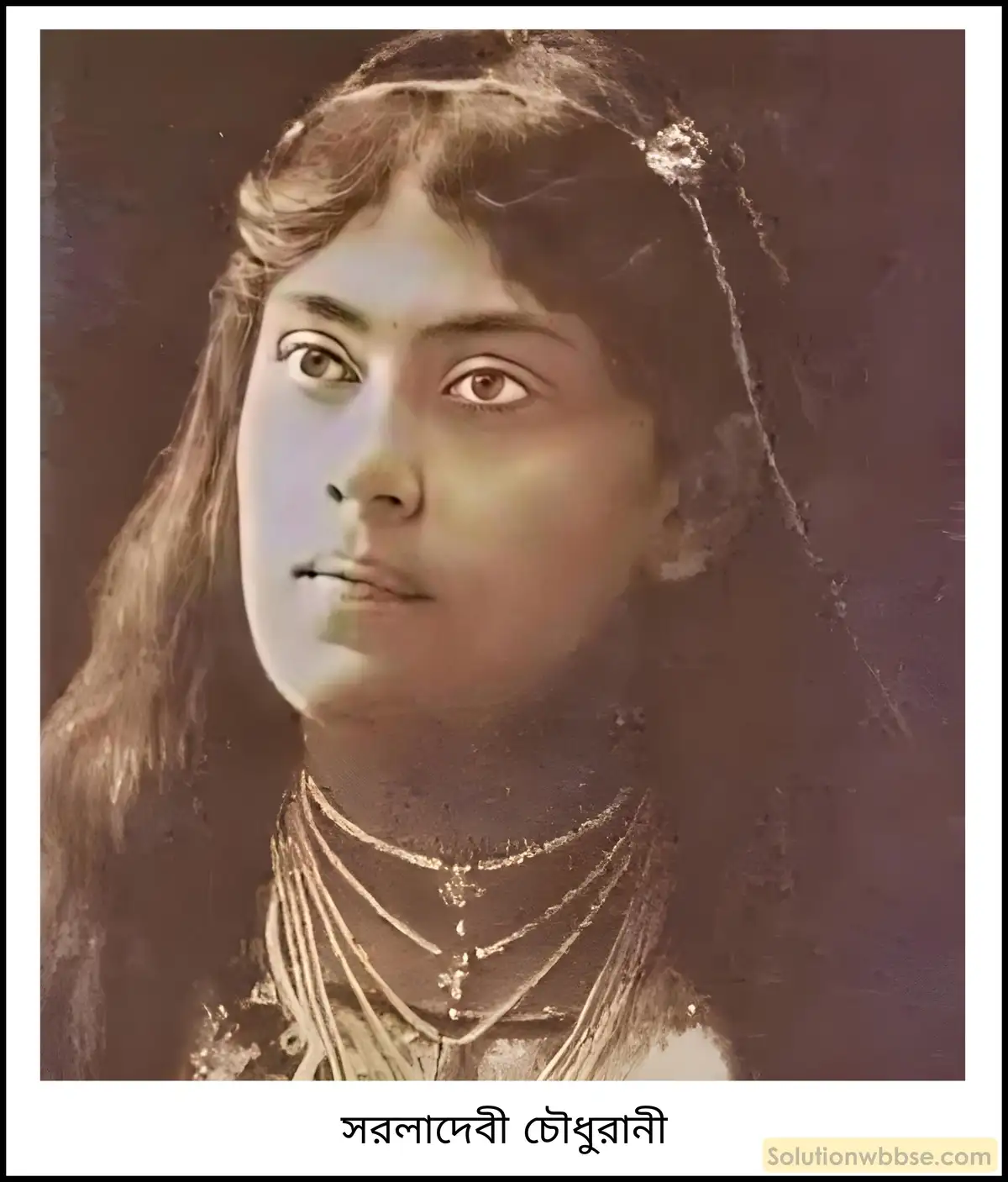 স্বদেশি আন্দোলনে সরলাদেবী চৌধুরাণীর ভূমিকা বিশ্লেষণ করো।