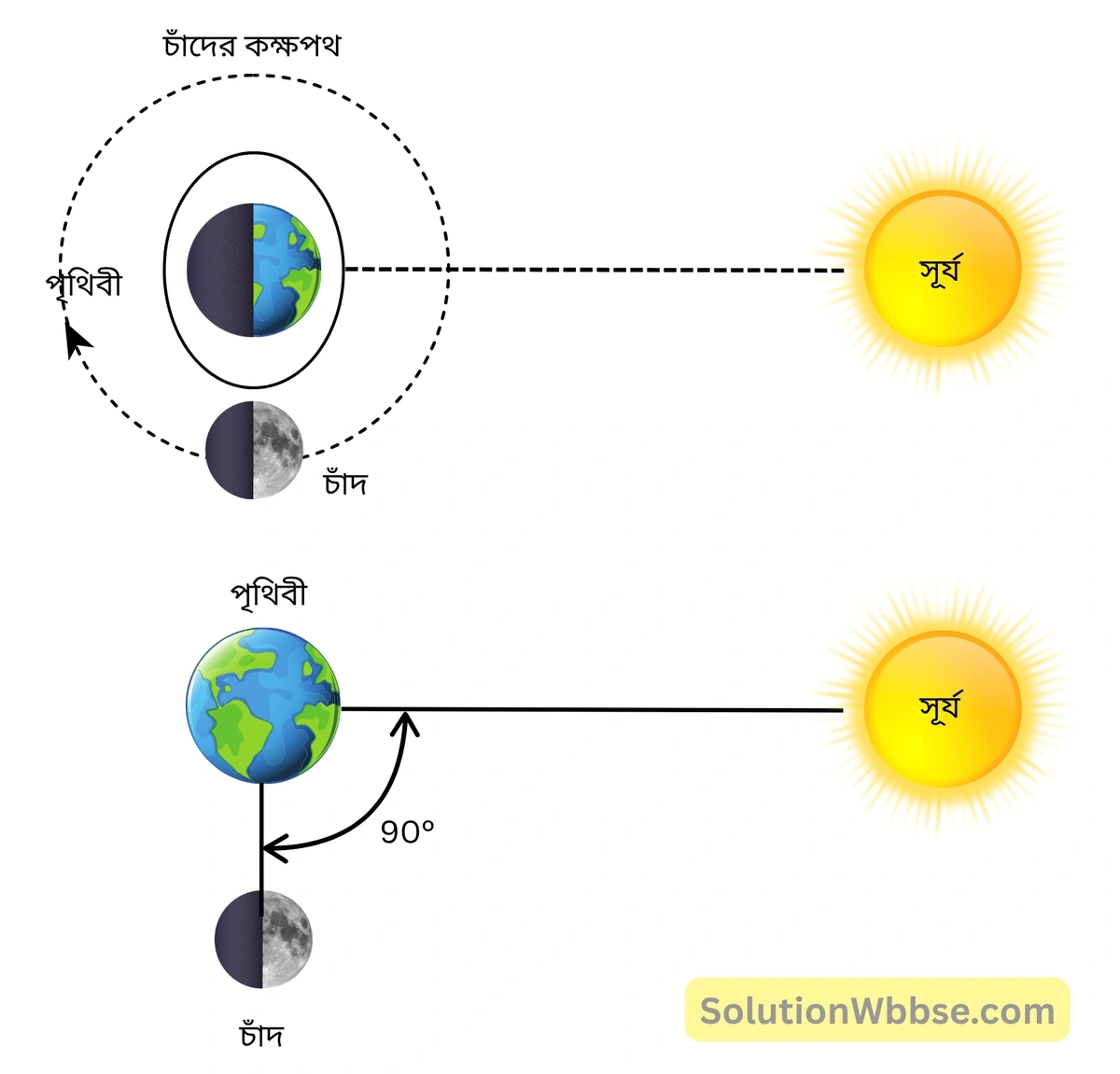 ভরা কোটাল ও মরা কোটাল কীভাবে ঘটে চিত্রসহ লেখো। 3 অষ্টমী তিথিতে মরা কোটাল