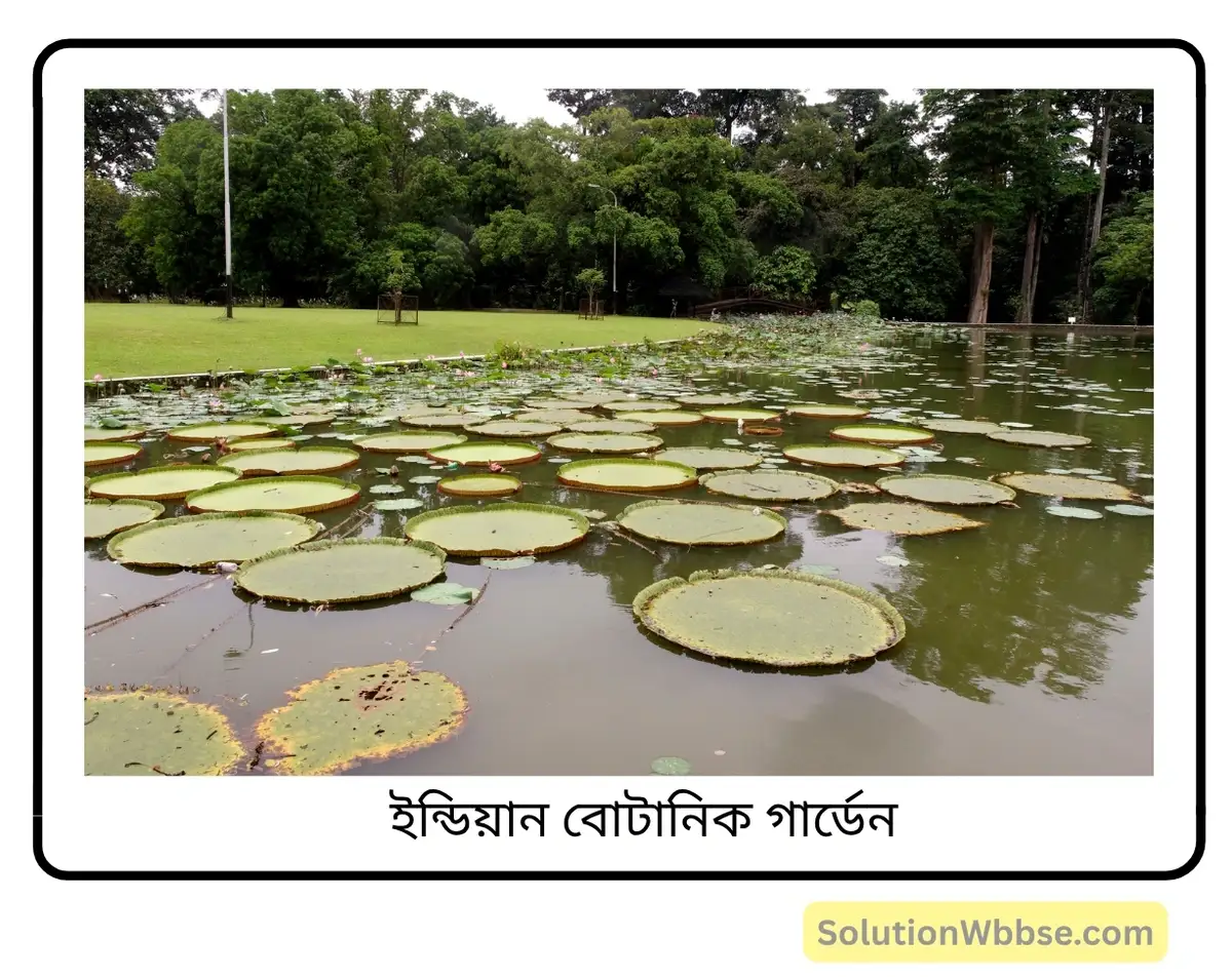 মাধ্যমিক জীবন বিজ্ঞান – পরিবেশ, তার সম্পদ এবং তাদের সংরক্ষণ – জীববৈচিত্র্য এবং সংরক্ষণ - সংক্ষিপ্ত প্রশ্নোত্তর 9 ইন্ডিয়ান বোটানিক গার্ডেন