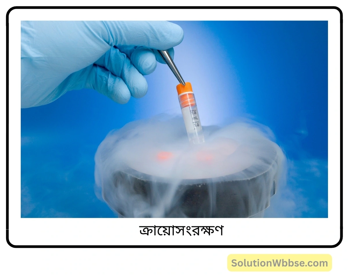 মাধ্যমিক জীবন বিজ্ঞান – পরিবেশ, তার সম্পদ এবং তাদের সংরক্ষণ – জীববৈচিত্র্য এবং সংরক্ষণ - সংক্ষিপ্ত প্রশ্নোত্তর 10 ক্রায়োসংরক্ষণ