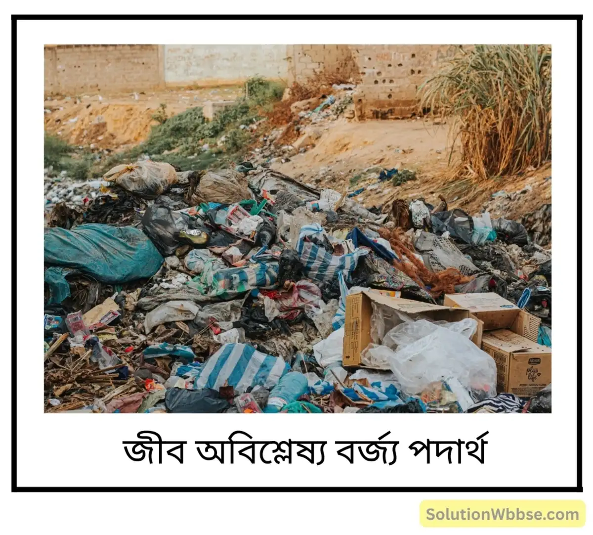 জীব-বিশ্লেষ্য ও জীব-অবিশ্লেষ্য পদার্থ বলতে কী বোঝো? উদাহরণসহ বিপজ্জনক পদার্থের শ্রেণিবিভাগ করো। 3 জীব-অবিশ্লেষ্য পদার্থ