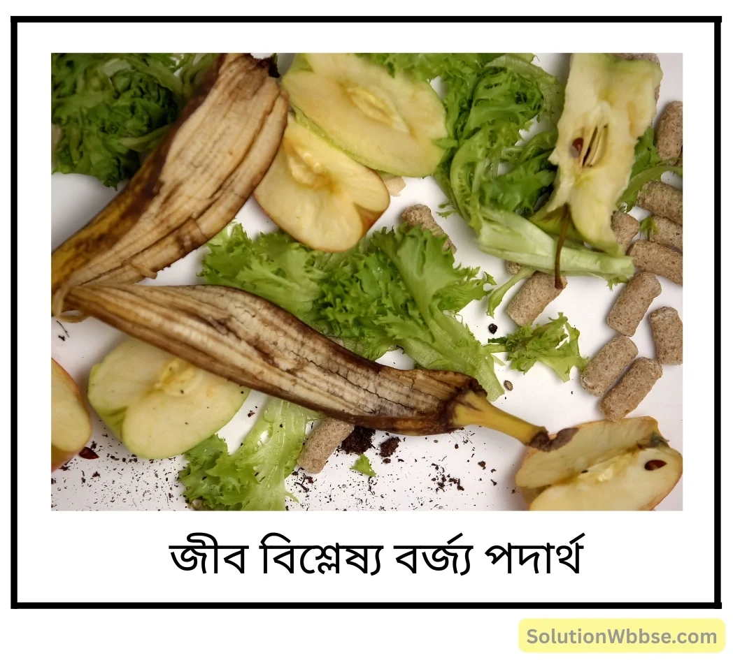 জীব-বিশ্লেষ্য ও জীব-অবিশ্লেষ্য পদার্থ বলতে কী বোঝো? উদাহরণসহ বিপজ্জনক পদার্থের শ্রেণিবিভাগ করো। 2 জীব-বিশ্লেষ্য পদার্থ
