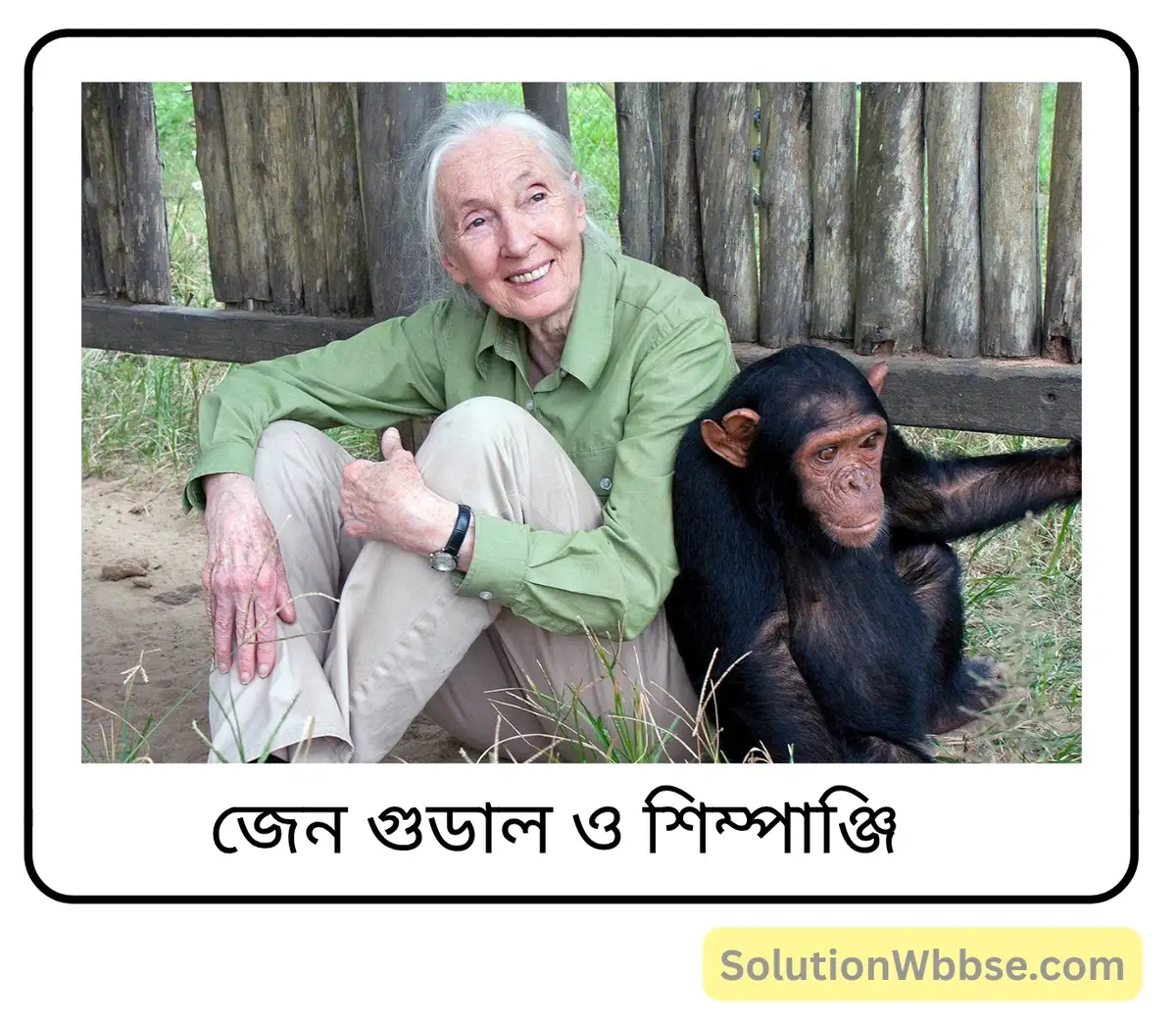 মাধ্যমিক জীবন বিজ্ঞান – অভিব্যক্তি ও অভিযোজন – আচরণ এবং অভিযোজন – অতিসংক্ষিপ্ত প্রশ্নোত্তর 4 জেন গুডাল ও শিম্পাঞ্জি