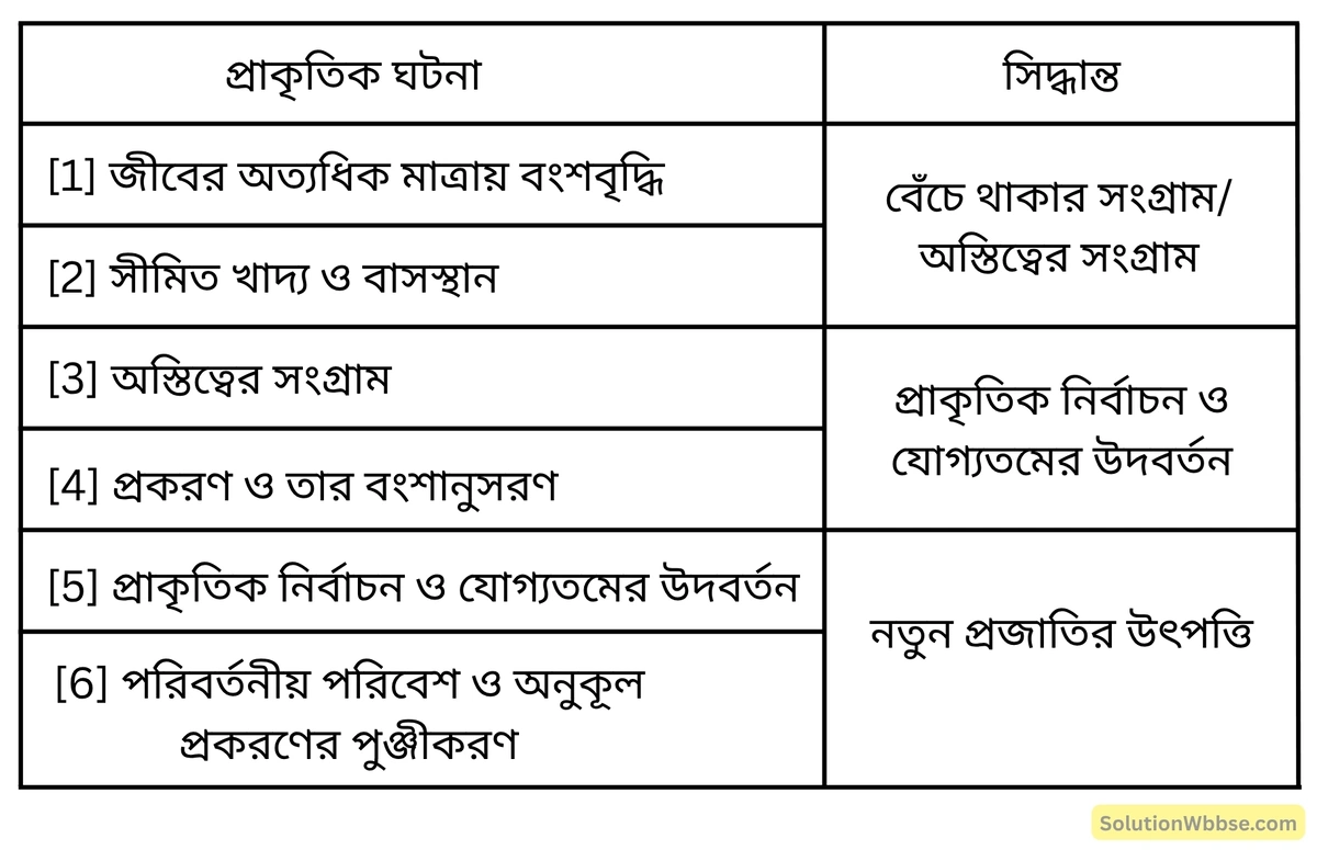 মাধ্যমিক জীবন বিজ্ঞান – অভিব্যক্তি ও অভিযোজন – অভিব্যক্তি – সংক্ষিপ্ত প্রশ্নোত্তর 6 ডারউইনের প্রাকৃতিক নির্বাচন মতবাদের ঘটনা ও সিদ্ধান্তগুলি একটি সারণি