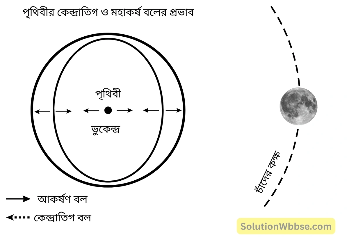 জোয়ারভাটা কীভাবে সৃষ্টি হয় চিত্রসহ ব্যাখ্যা করো। 2 পৃথিবীর কেন্দ্রাতিগ বল ও মহাকর্ষ বলের প্রভাব