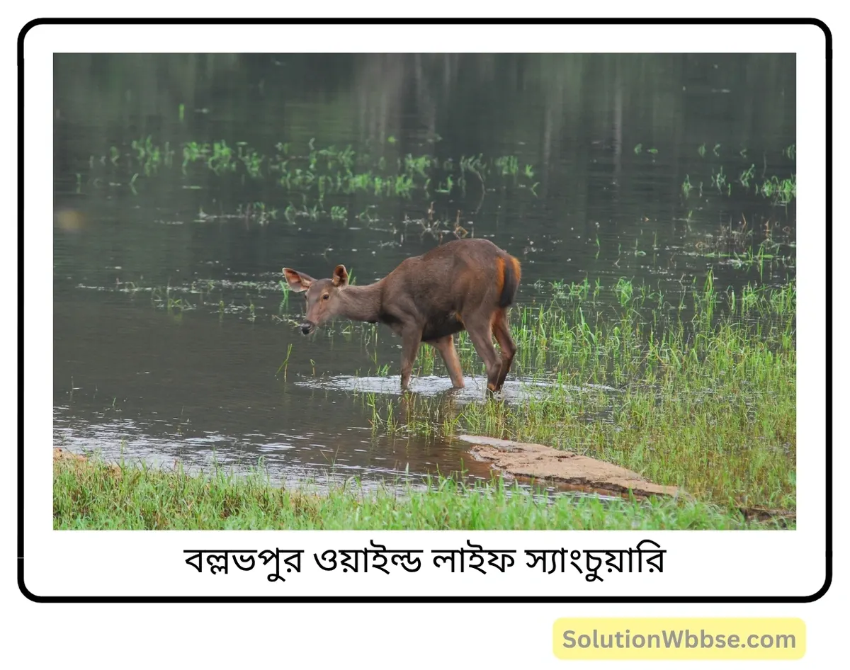 মাধ্যমিক জীবন বিজ্ঞান - পরিবেশ, তার সম্পদ এবং তাদের সংরক্ষণ - জীববৈচিত্র্য এবং সংরক্ষণ - অতিসংক্ষিপ্ত প্রশ্নোত্তর 6 বল্লভপুর ওয়াইল্ড লাইফ স্যাংচুয়ারি