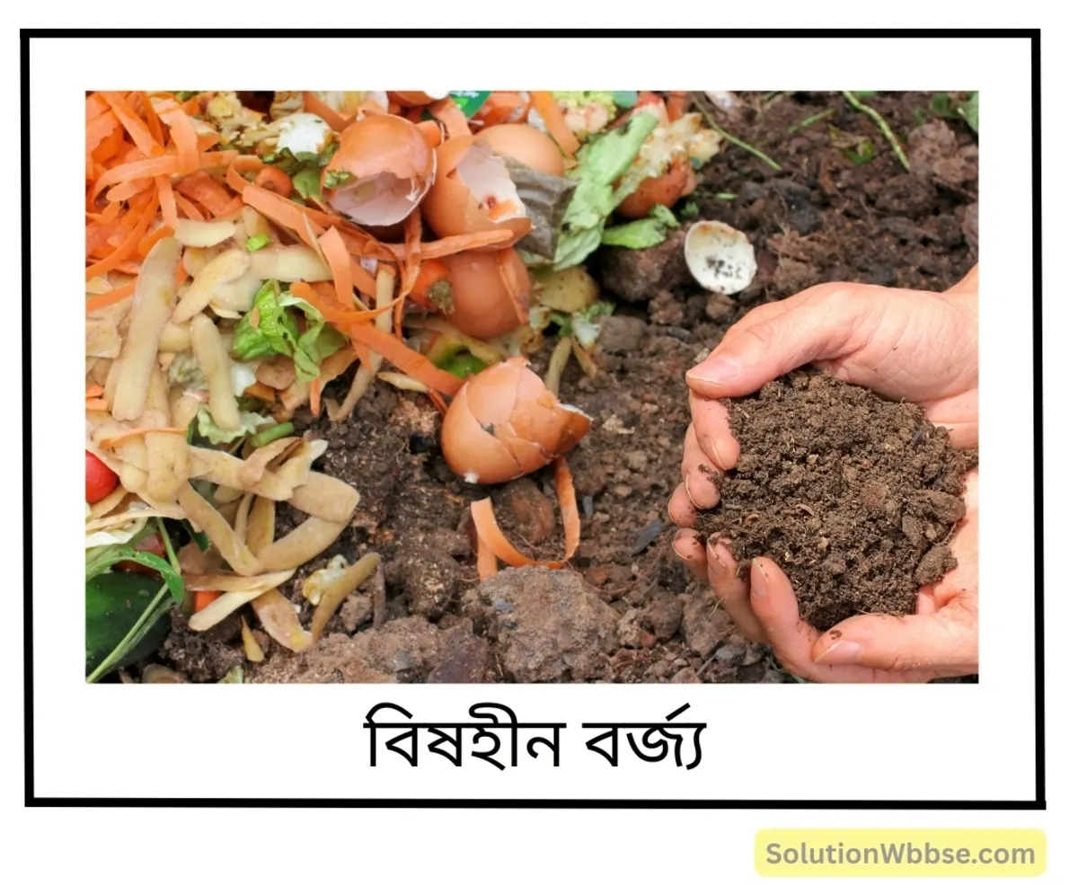 প্রকৃতির সঙ্গে বর্জ্য পদার্থের প্রতিক্রিয়ার ভিত্তিতে এবং বিষক্রিয়ার ভিত্তিতে বর্জ্য পদার্থের শ্রেণিবিভাগ করে আলোচনা করো। 3 বিষহীন বর্জ্য পদার্থ