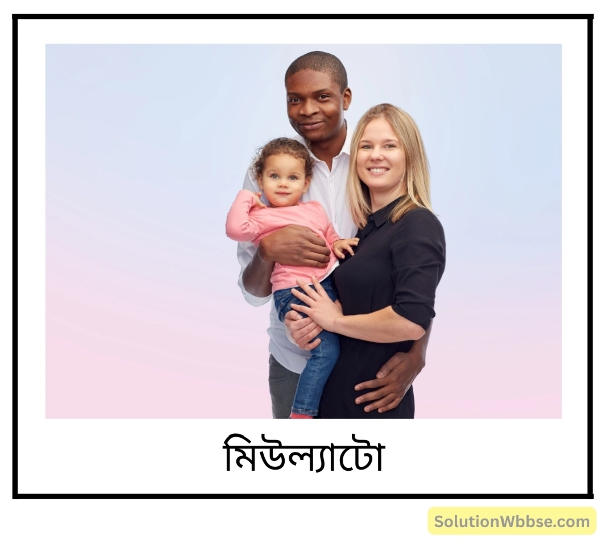 মিউল্যাটো (mulatto)