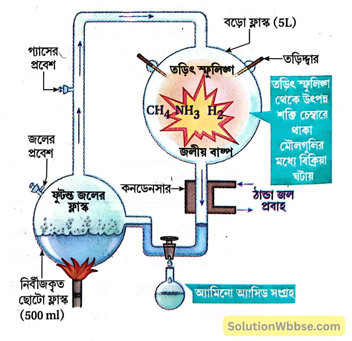 মাধ্যমিক জীবন বিজ্ঞান – অভিব্যক্তি ও অভিযোজন – অভিব্যক্তি – রচনাধর্মী প্রশ্নোত্তর 2 মিলার ও উরের পরীক্ষা-