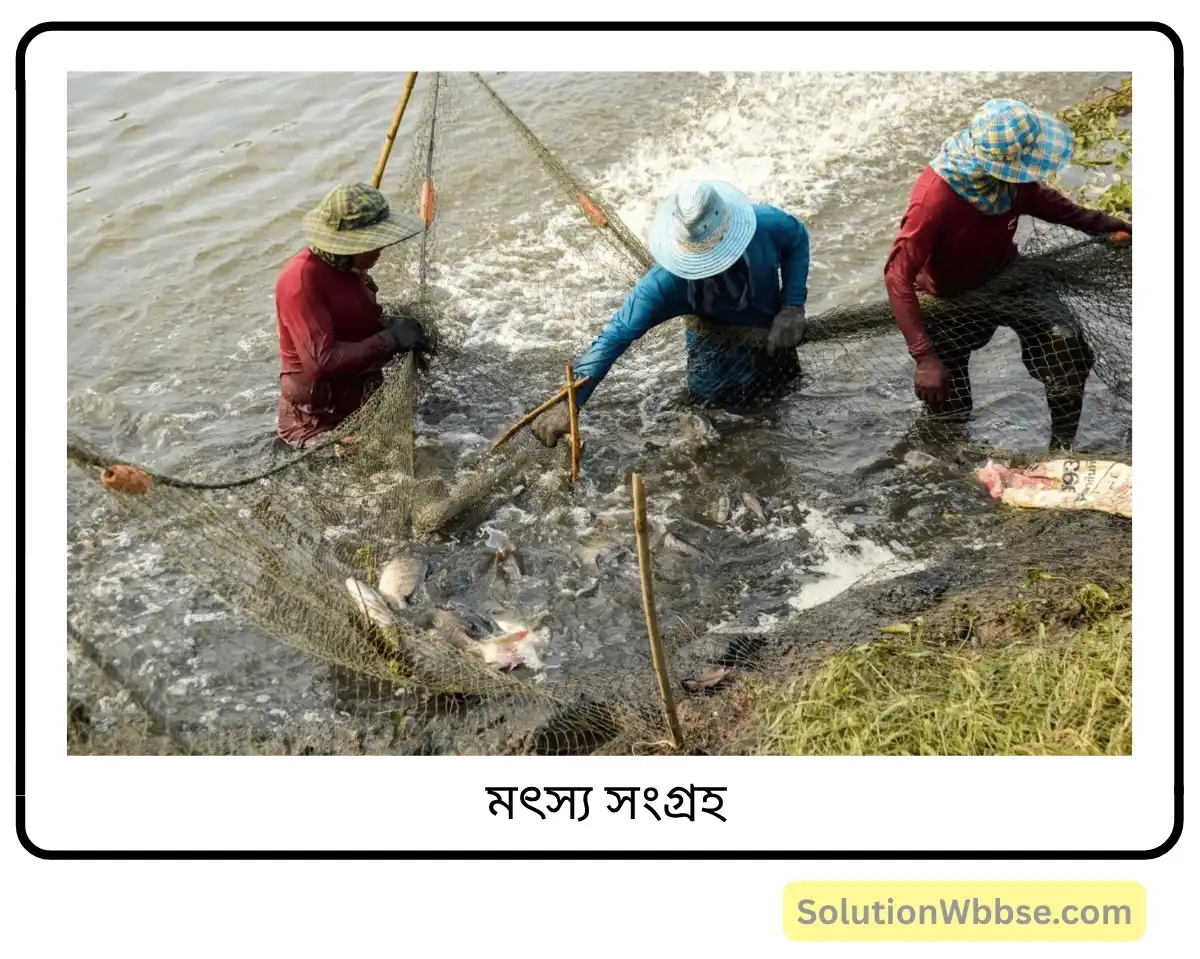 ভারতের অর্থনৈতিক ক্রিয়াকলাপের ওপর উপকূলীয় সমভূমির প্রভাব লেখো। 2 মৎস্য সংগ্রহ