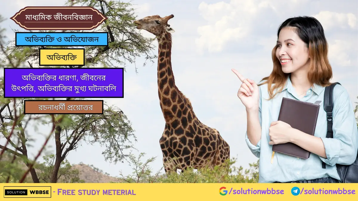 অভিব্যক্তির মুখ্য ঘটনাবলি – রচনাধর্মী প্রশ্নোত্তর