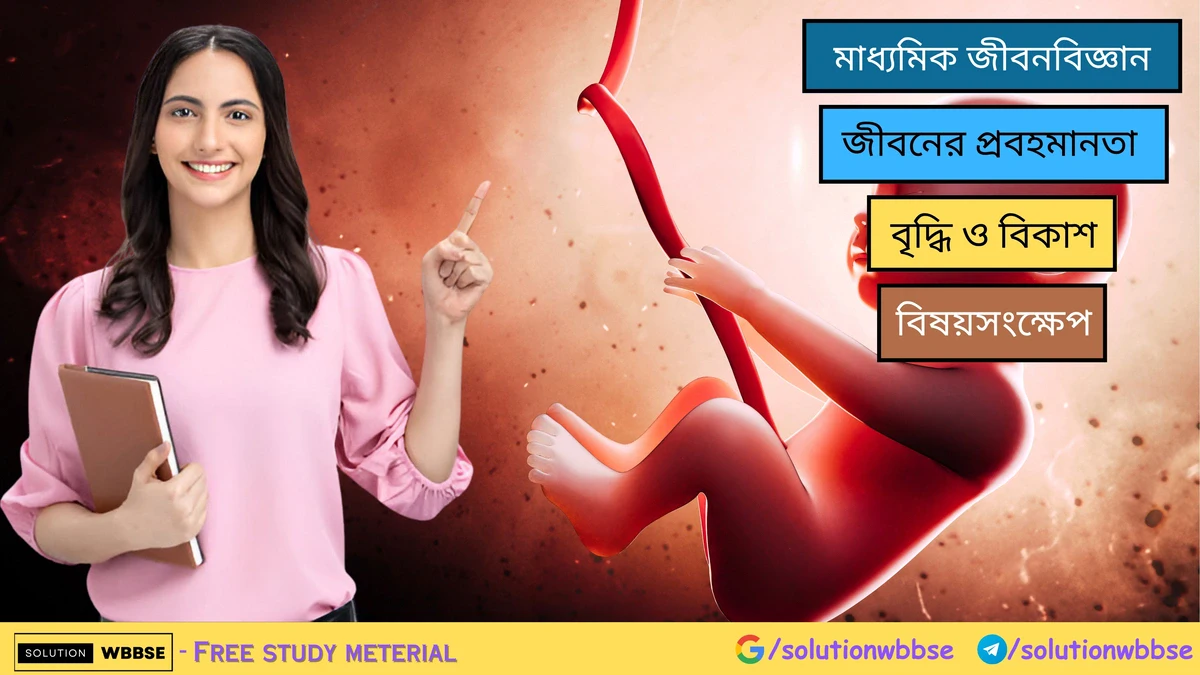 বৃদ্ধি ও বিকাশ – বিষয়সংক্ষেপ