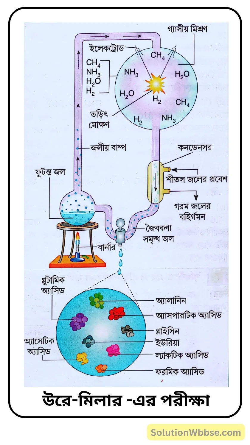 উরে-মিলার -এর পরীক্ষা