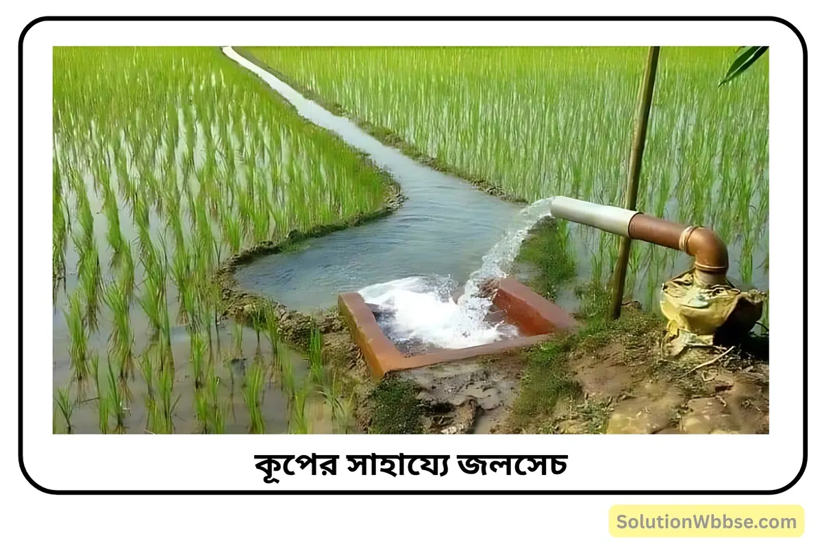 উত্তর ভারতে নলকূপের মাধ্যমে জলসেচ ব্যবস্থা অধিক প্রচলিত কেন? কূপ ও নলকূপের সুবিধা ও অসুবিধাগুলি লেখো। 2 কূপের সাহায্যে জলসেচ ব্যবস্থা