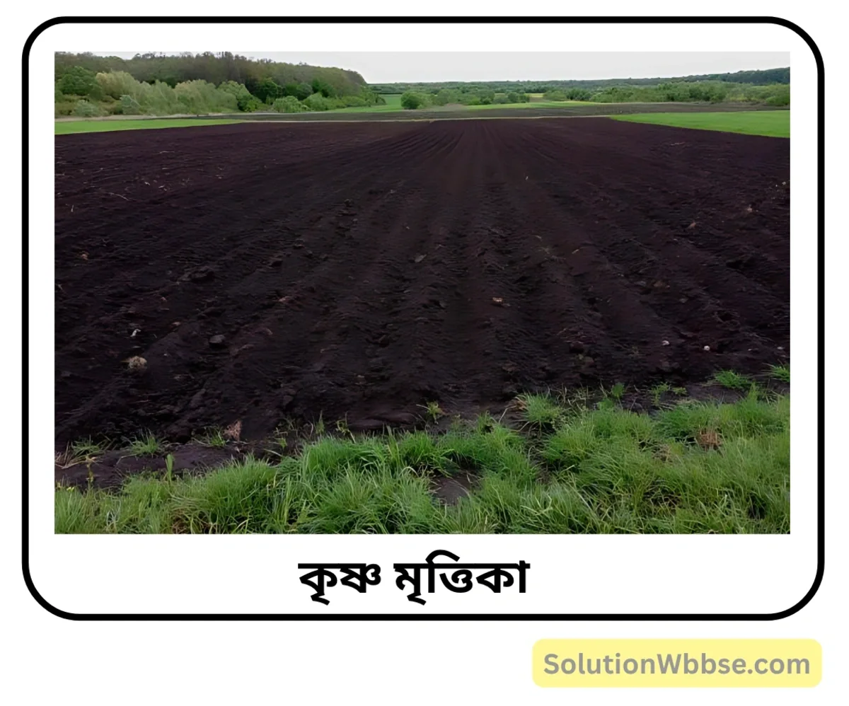 ভারতীয় মৃত্তিকায় উৎপন্ন ফসলমূহ সম্পর্কে লেখো। 2 কৃষ্ণ মৃত্তিকা