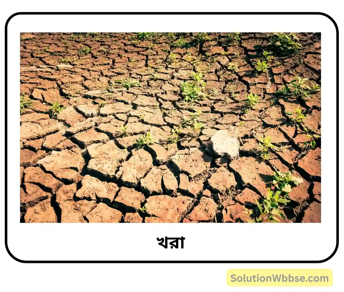 ভারতে প্রায়ই খরা হয় কেন? ভারতে খরা কীভাবে নিয়ন্ত্রণ করা যায়? 2 খরা