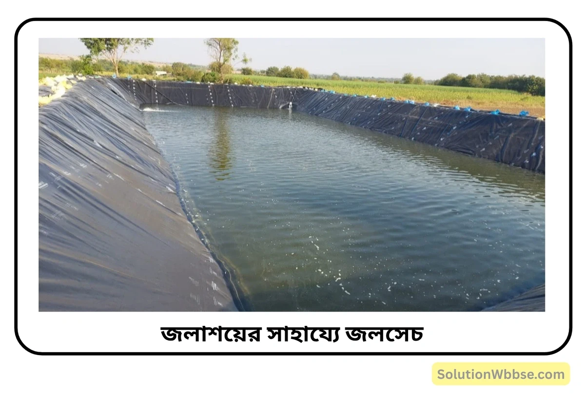 দক্ষিণ ভারতে জলাশয়ের মাধ্যমে জলসেচ অধিক প্রচলিত কেন? জলাশয়ের সাহায্যে জলসেচের সুবিধা ও অসুবিধা 2 জলাশয়ের সাহায্যে জলসেচ