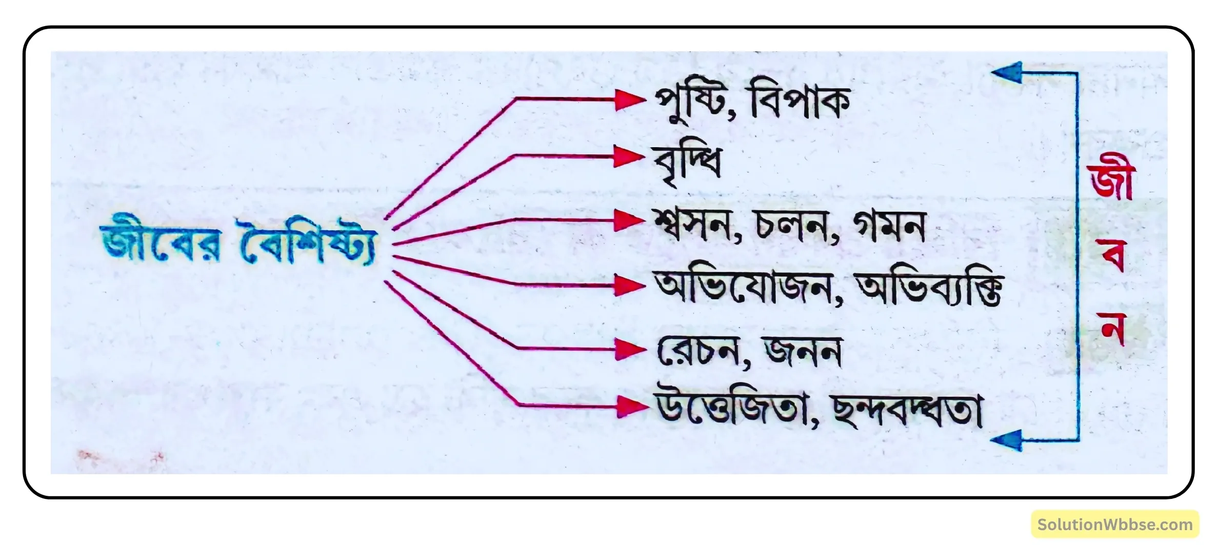 জীবনের সংজ্ঞা দাও