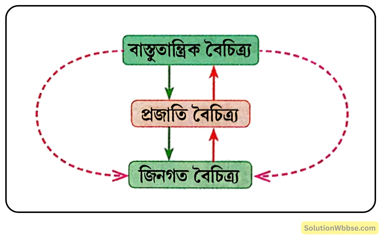জীববৈচিত্র্যের প্রকারভেদ
