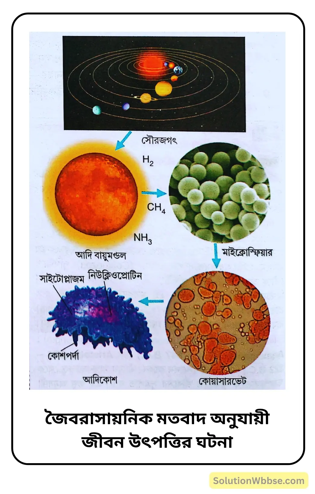 জৈবরাসায়নিক মতবাদ অনুযায়ী জীবন উৎপত্তির ঘটনা