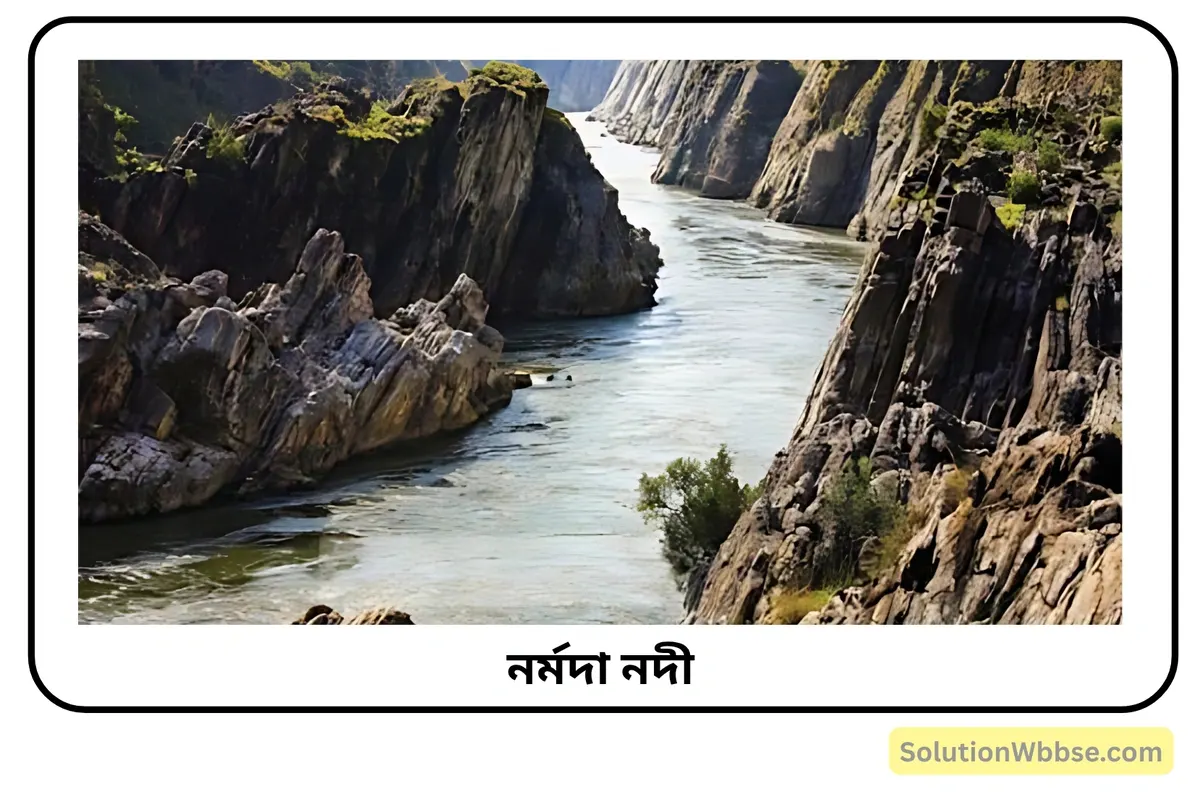 ভারতের পূর্ববাহিনী নদী ও পশ্চিমবাহিনী নদীগুলি সম্পর্কে লেখো। 3 নর্মদা নদী