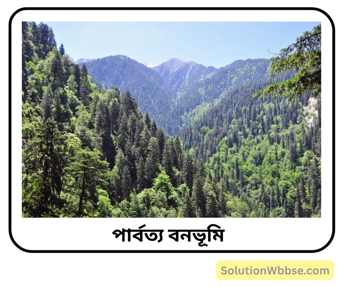 ভারতকে স্বাভাবিক উদ্ভিদ অঞ্চলে ভাগ করে প্রত্যেকটির সংক্ষিপ্ত পরিচয় দাও। 3 পার্বত্য বনভূমি