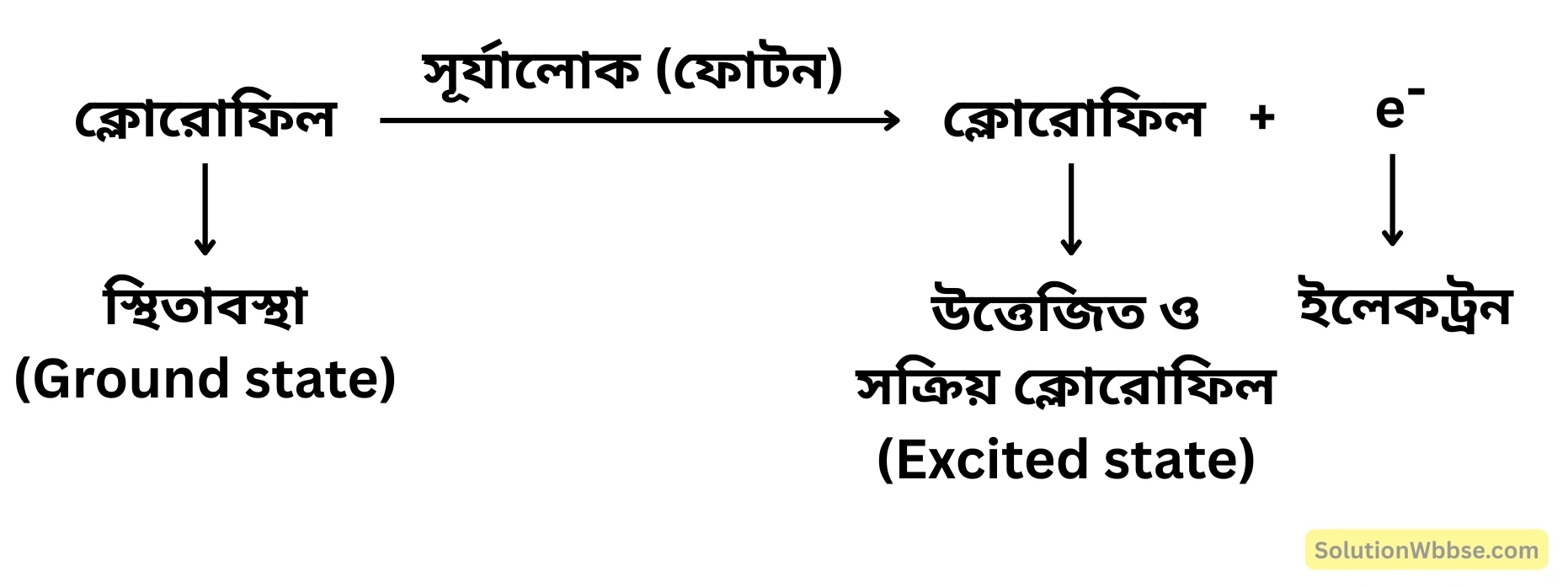 ফোটন কণা