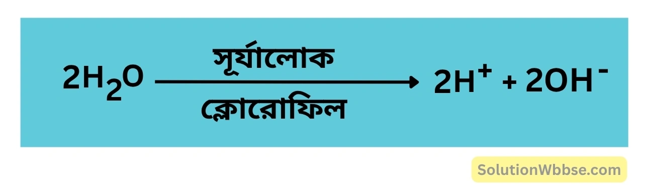 ফোটোলাইসিস