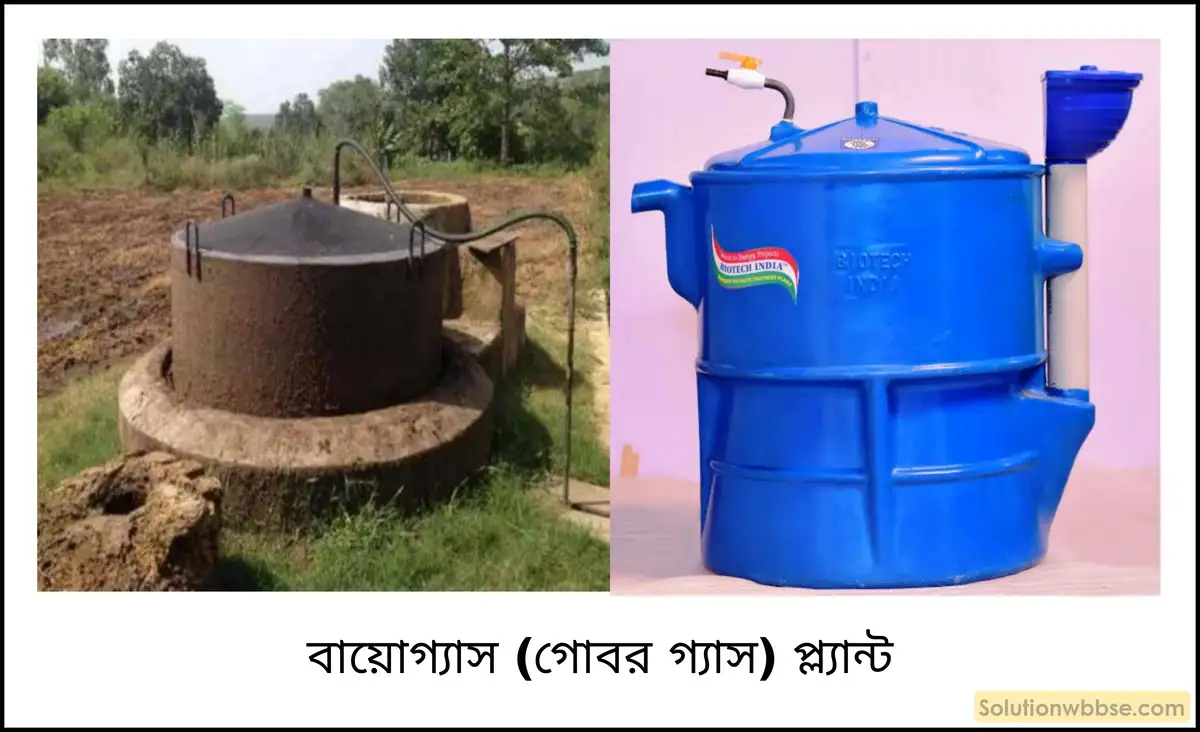 বায়োগ্যাস কাকে বলে? এর ব্যবহার উল্লেখ করো। বায়োগ্যাস কীভাবে সৃষ্টি করা হয়?