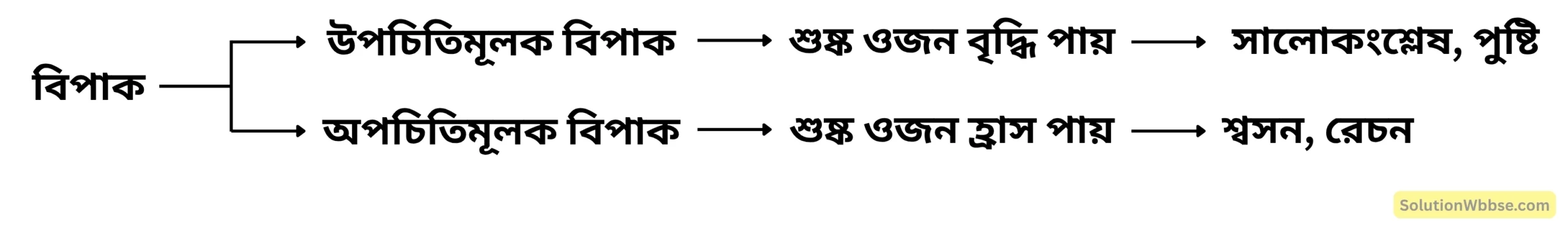 বিপাক (Metabolism)