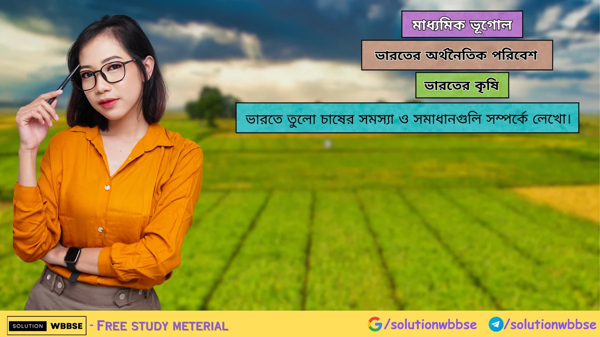 ভারতে তুলো চাষের সমস্যা ও সমাধানগুলি সম্পর্কে লেখো। 1 ভারতে তুলো চাষের সমস্যা ও সমাধানগুলি সম্পর্কে লেখো