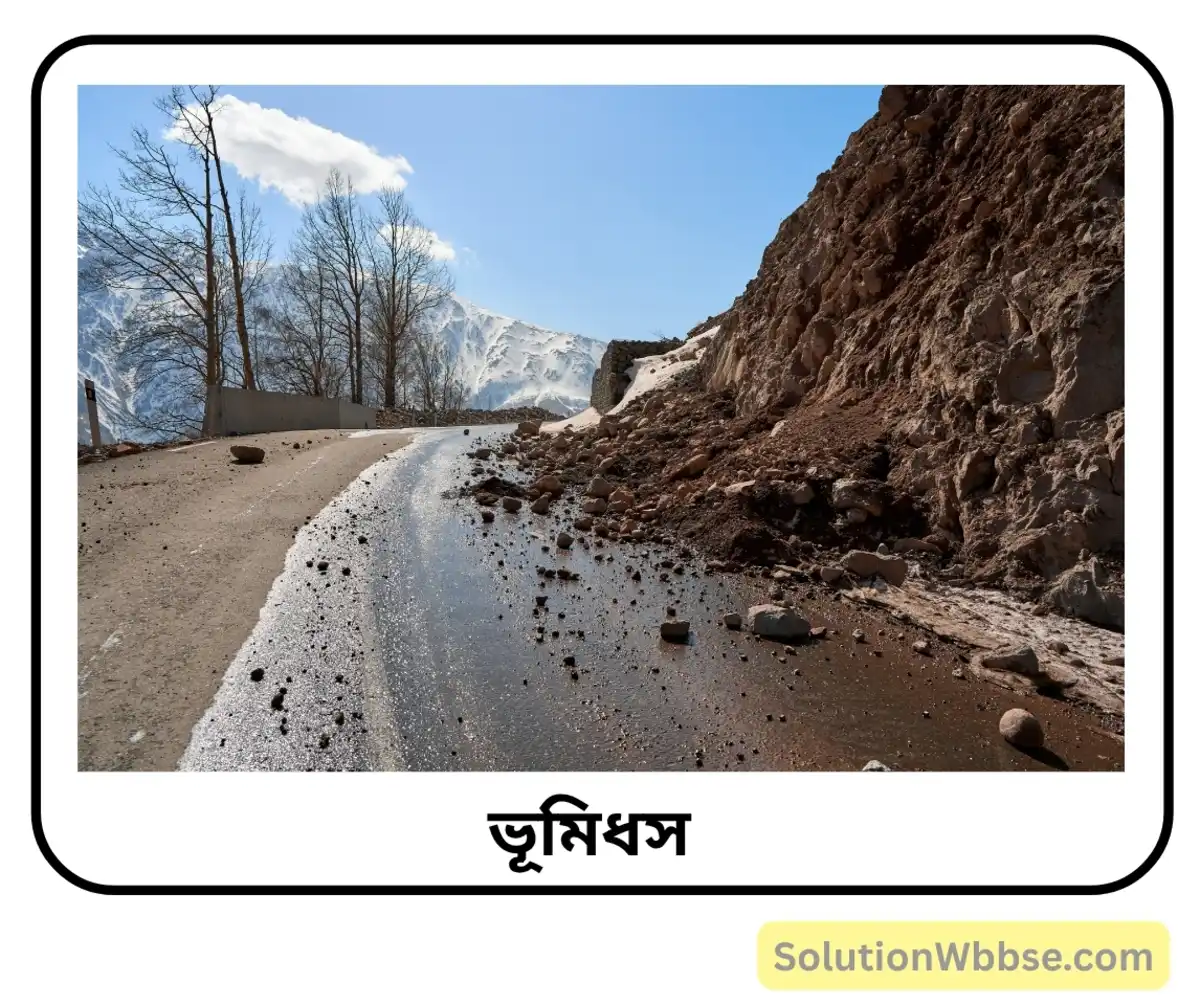 ভারতে অরণ্য নিধন বা অরণ্য ধ্বংসের কারণগুলি লেখো। 2 ভূমিধস