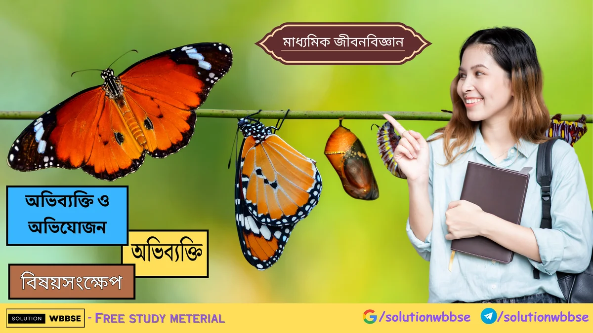 মাধ্যমিক জীবন বিজ্ঞান – অভিব্যক্তি ও অভিযোজন – অভিব্যক্তি – বিষয়সংক্ষেপ 1 মাধ্যমিক জীবন বিজ্ঞান – অভিব্যক্তি ও অভিযোজন – অভিব্যক্তি – বিষয়সংক্ষেপ