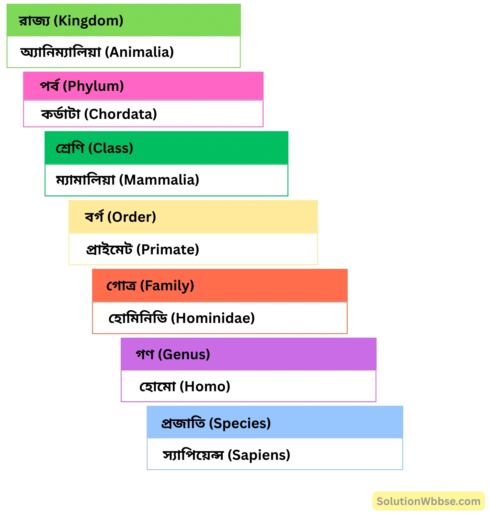 মানুষের হায়ারার্কিয়াল শ্রেণিবিন্যাস