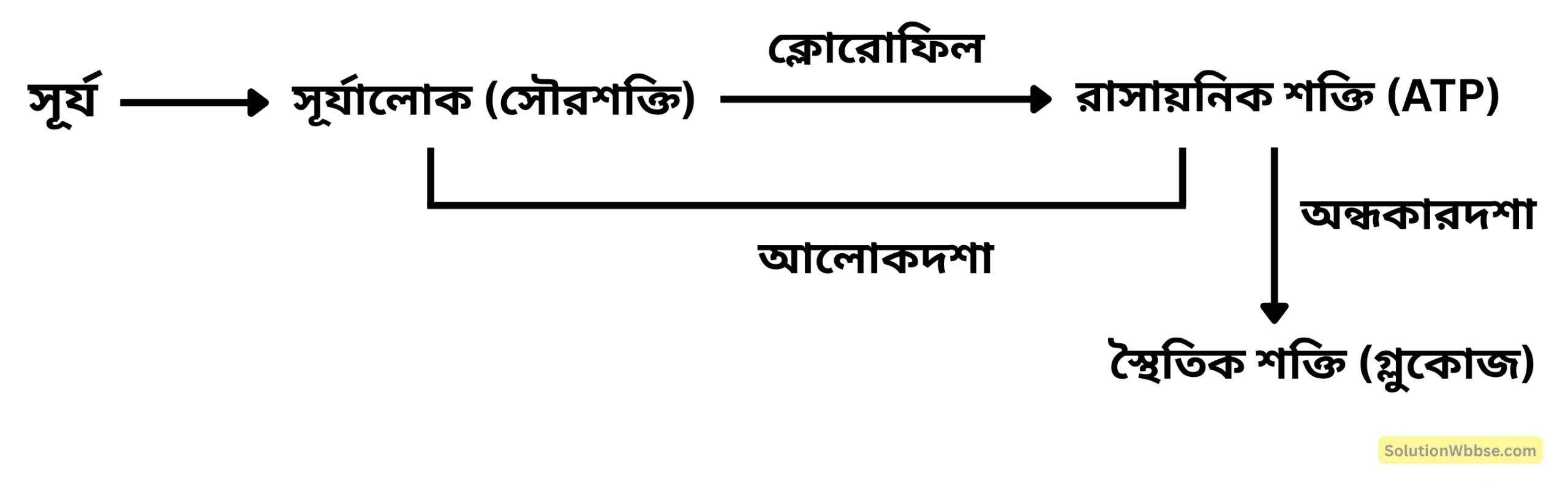সবুজ উদ্ভিদের ক্ষেত্রে 'সৌরশক্তি আবদ্ধকরণ' বলতে কী বোঝো