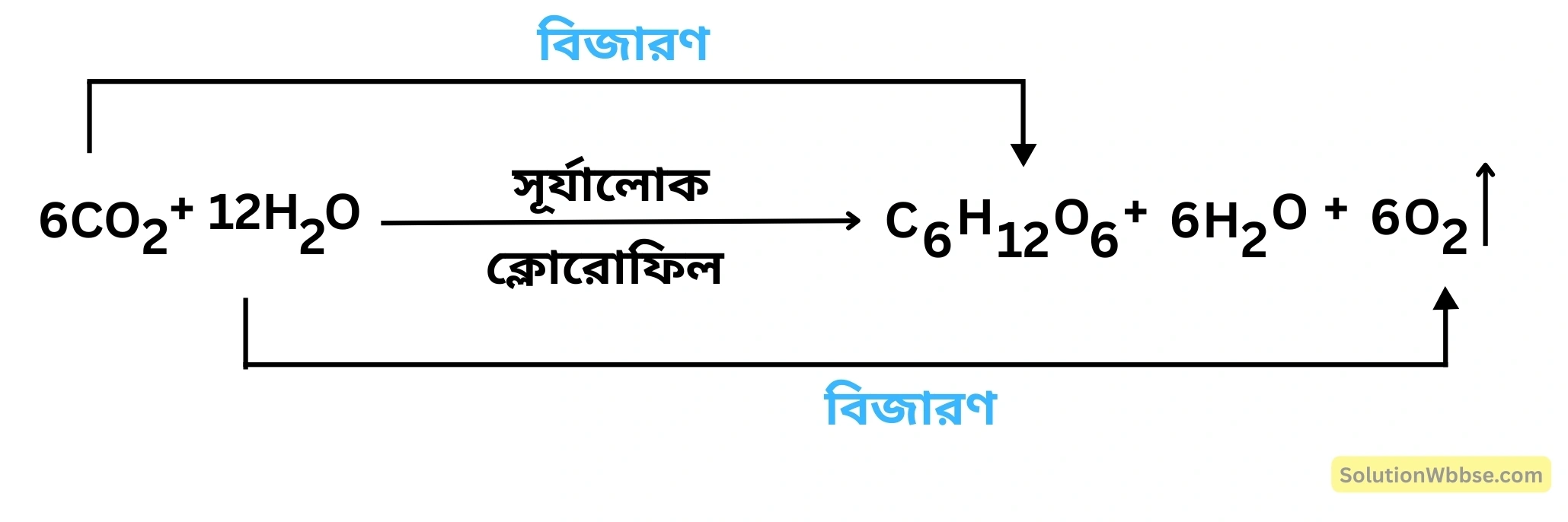 সালোকসংশ্লেষের রাসায়নিক সমীকরণ