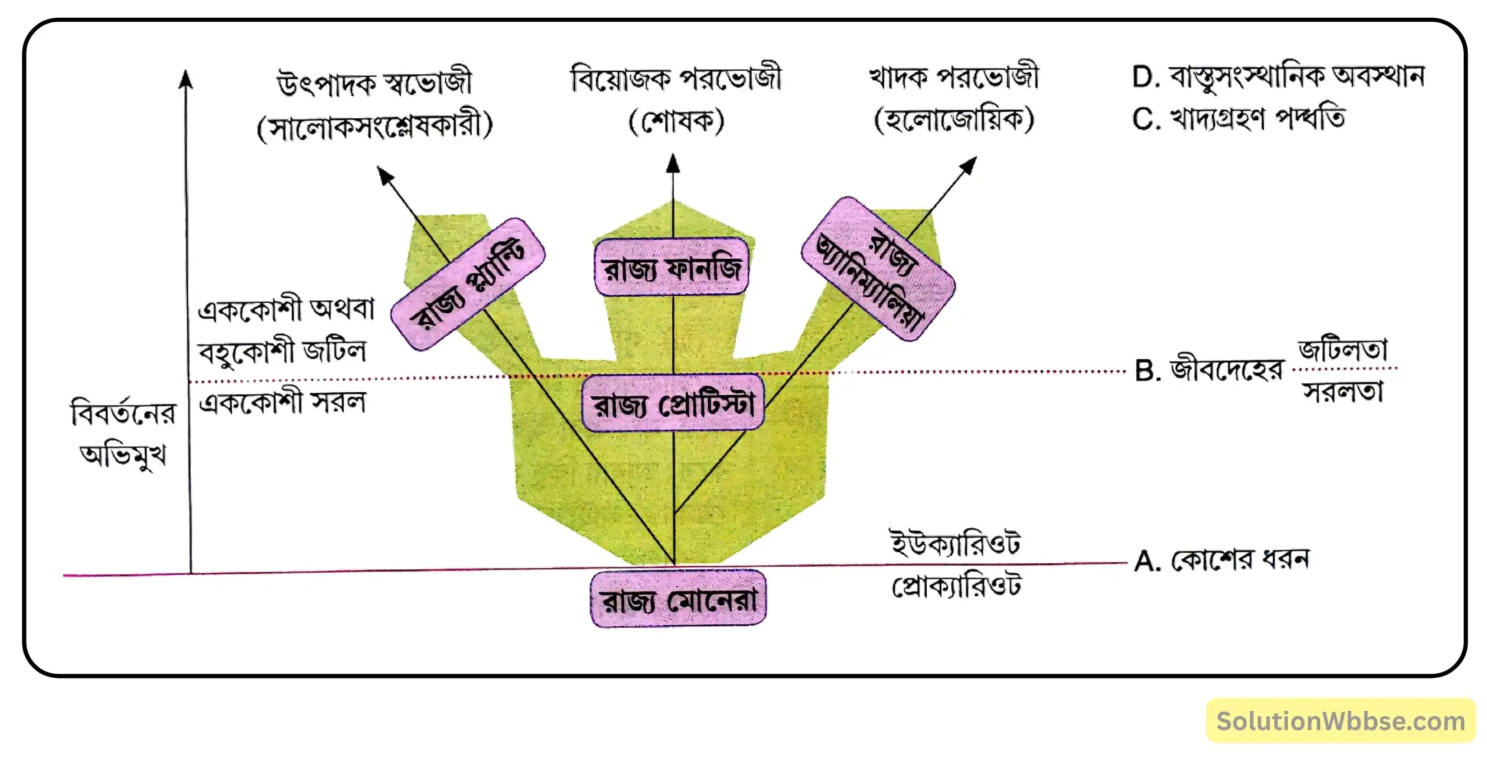 হোয়াইটেকার নির্দেশিত পাঁচটি রাজ্যের তিনটি করে শনাক্তকারী বৈশিষ্ট্য