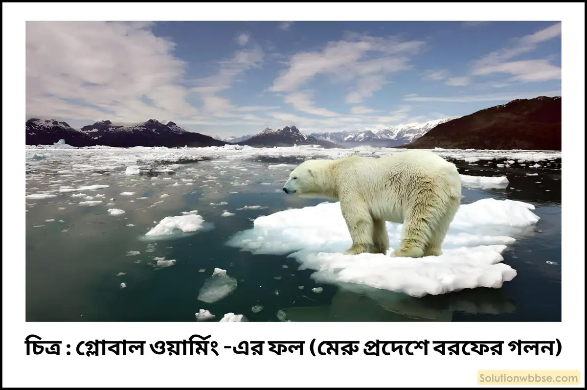 গ্লোবাল ওয়ার্মিং কাকে বলে? এর প্রভাব সম্পর্কে আলোচনা করো।