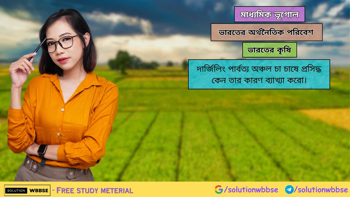 দার্জিলিং পার্বত্য অঞ্চল চা চাষে প্রসিদ্ধ কেন তার কারণ ব্যাখ্যা করো