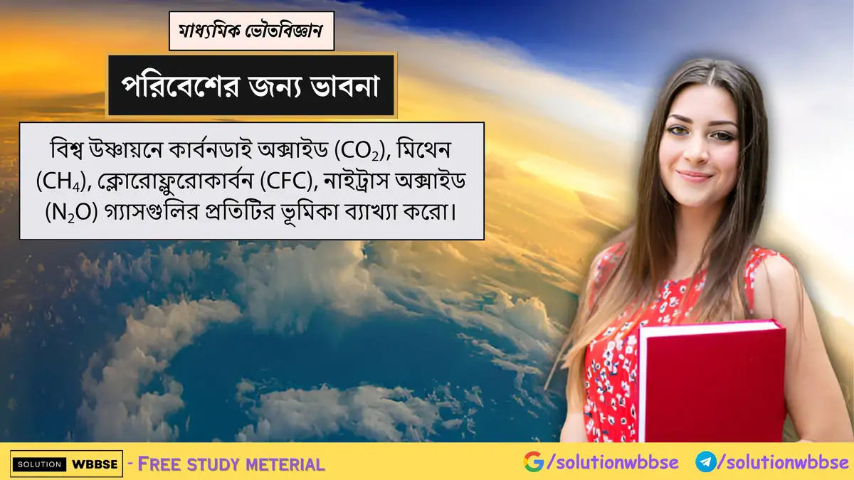 বিশ্ব উষ্ণায়নে কার্বনডাই অক্সাইড (CO2), মিথেন (CH4), ক্লোরোফ্লুরোকার্বন (CFC), নাইট্রাস অক্সাইড (N2O) গ্যাসগুলির প্রতিটির ভূমিকা ব্যাখ্যা করো।
