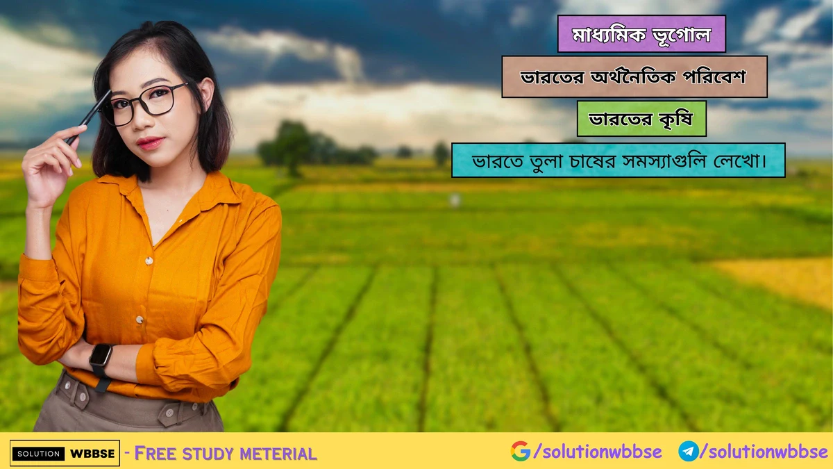 ভারতে তুলা চাষের সমস্যাগুলি লেখো