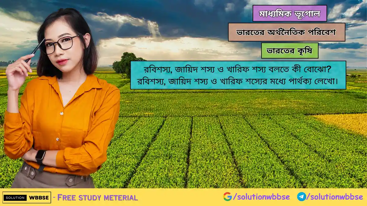 রবিশস্য, জায়িদ শস্য ও খারিফ শস্য বলতে কী বোঝো