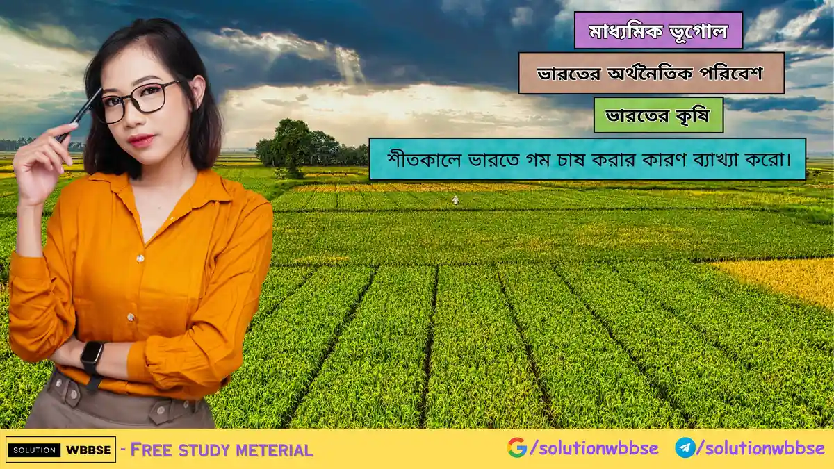 শীতকালে ভারতে গম চাষ করার কারণ ব্যাখ্যা করো