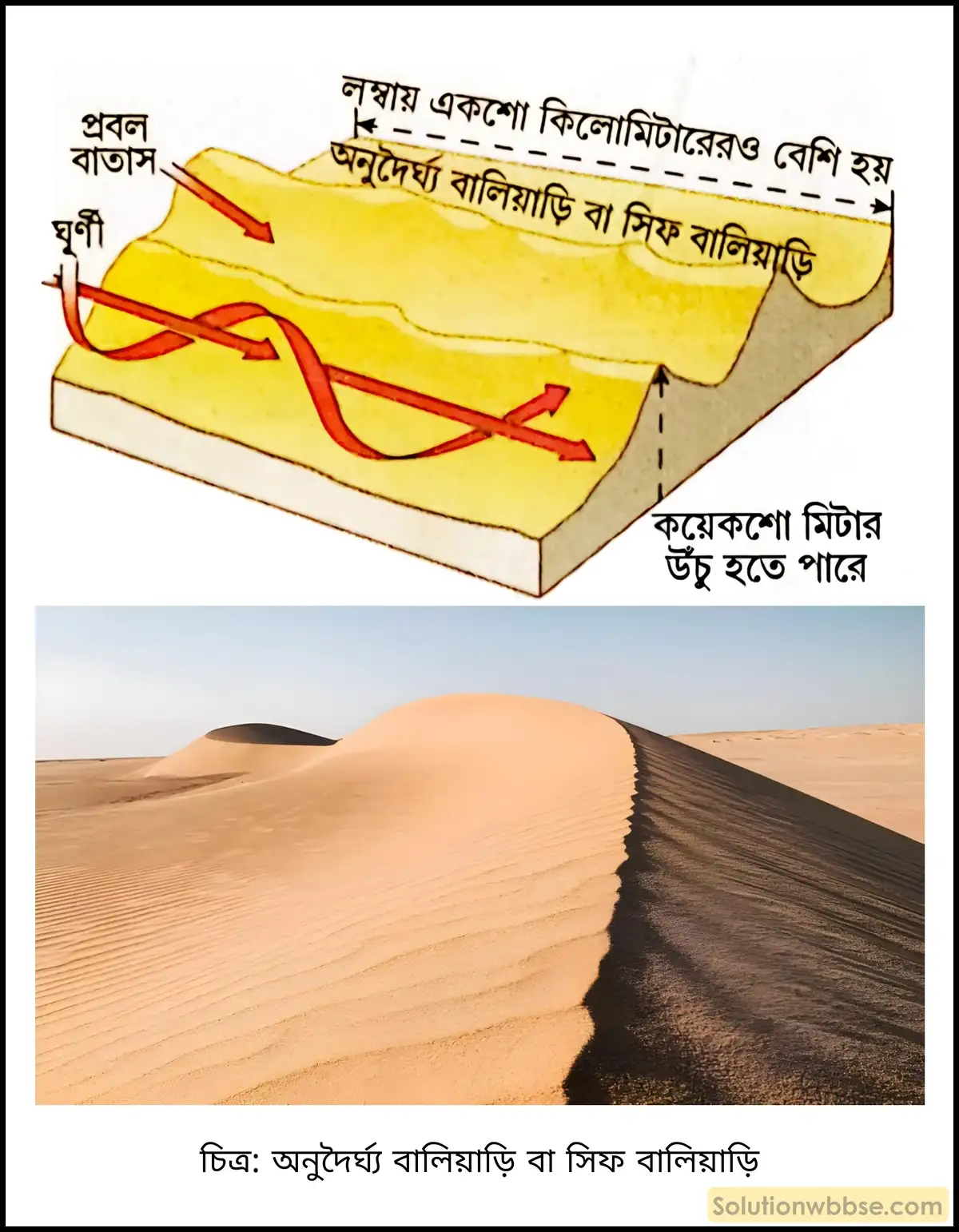 মাধ্যমিক ভূগোল - বহির্জাত প্রক্রিয়া ও তাদের দ্বারা সৃষ্ট ভূমিরূপ - বায়ুর বিভিন্ন কাজ দ্বারা সৃষ্ট ভূমিরূপ - দীর্ঘধর্মী প্রশ্ন ও উত্তর 12 অনুদৈর্ঘ্য বালিয়াড়ি বা সিফ বালিয়াড়ি