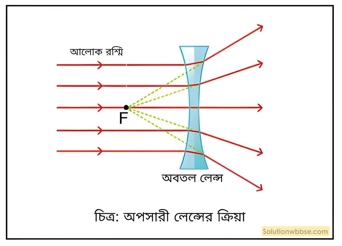 অপসারী লেন্স এর ক্রিয়া
