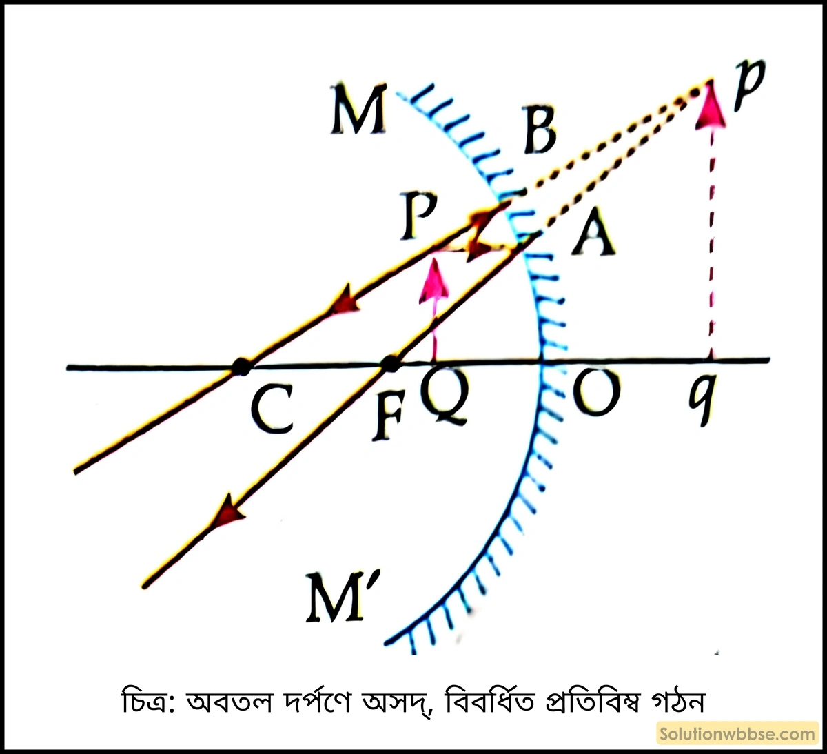 অবতল দর্পণ কীভাবে কোনো বিস্তৃত বস্তুর অসদ, বিবর্ধিত প্রতিবিম্ব গঠন করে তা রেখাচিত্রের সাহায্যে দেখাও। (ফোকাস এবং বস্তুর অবস্থান অবশ্যই চিহ্নিত করতে হবে)