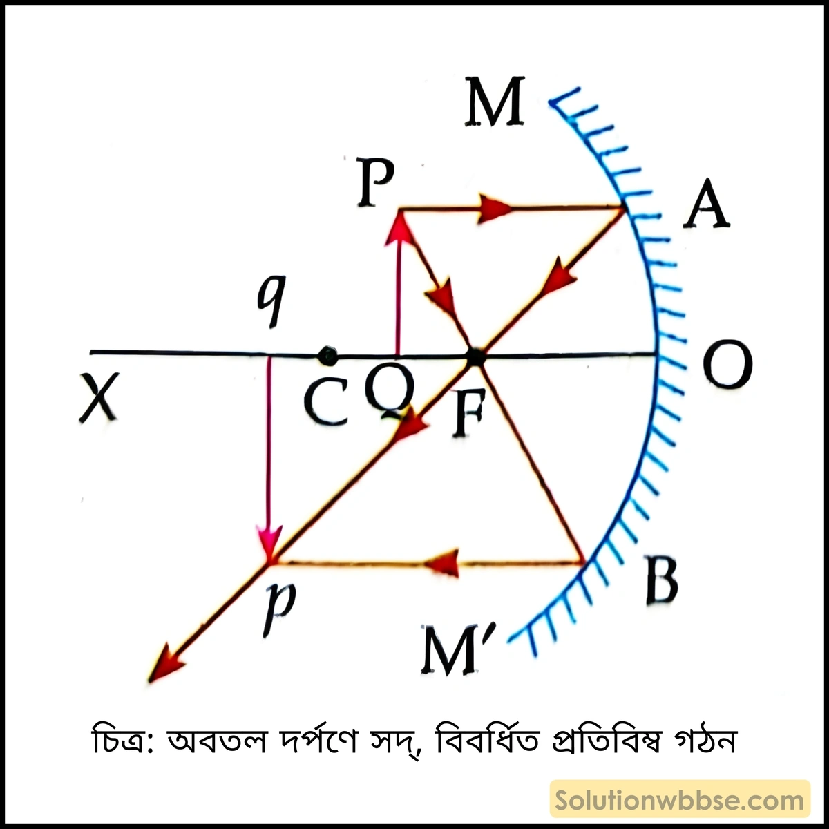 অবতল দর্পণ কীভাবে কোনো বিস্তৃত বস্তুর সদ, বিবর্ধিত প্রতিবিম্ব গঠন করে তা রেখাচিত্রের সাহায্যে দেখাও। 2 অবতল দর্পণ কীভাবে কোনো বিস্তৃত বস্তুর সদ, বিবর্ধিত প্রতিবিম্ব গঠন করে তা রেখাচিত্রের সাহায্যে দেখাও। অথবা, একটি অবতল দর্পণের অক্ষের ওপর মুখ্য ফোকাস ও বক্রতা কেন্দ্রের মধ্যে একটি বস্তুকে রাখা হল। রশ্মিচিত্র এঁকে বস্তুটির প্রতিবিম্বের অবস্থান দেখাও।