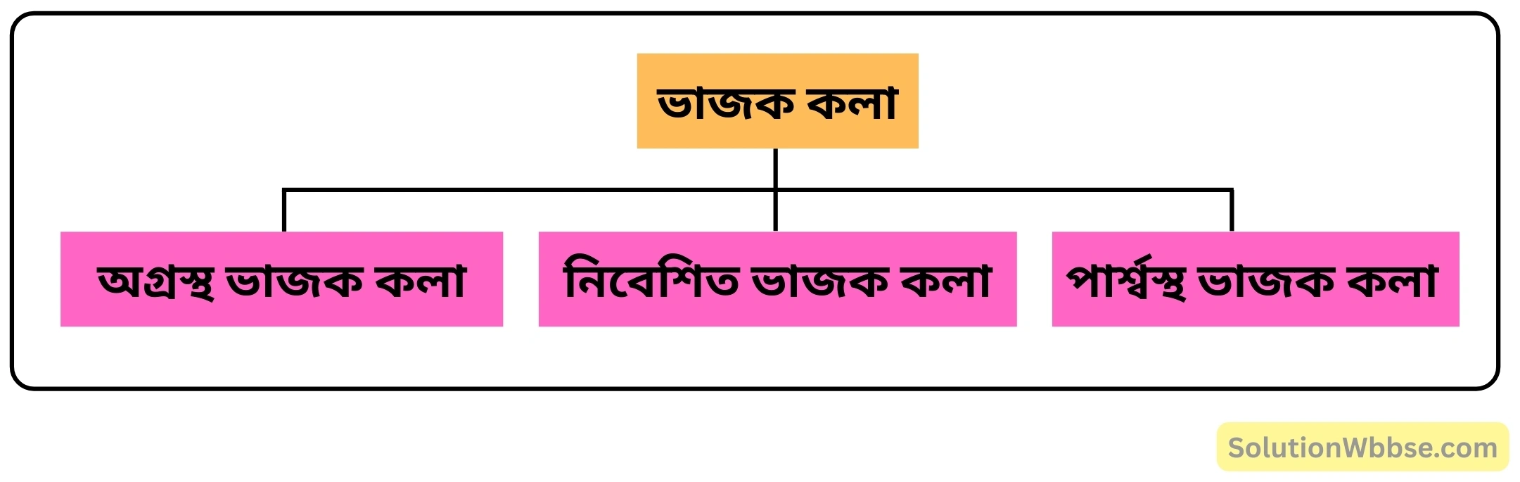 নবম শ্রেণী জীবনবিজ্ঞান - জীবন সংগঠনের স্তর - কলা - রচনাধর্মী প্রশ্ন ও উত্তর 5 অবস্থান অনুযায়ী ভাজক কলার শ্রেণিবিভাগ