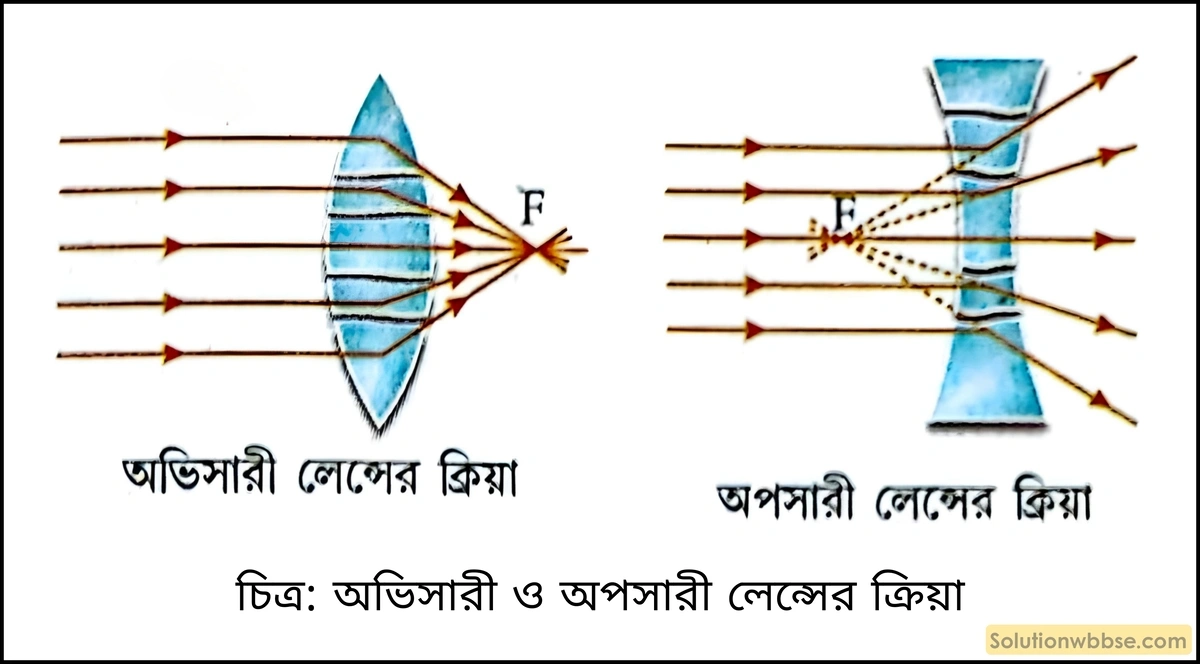 মাধ্যমিক ভৌতবিজ্ঞান - আলো - লেন্স, আলোর বিচ্ছুরণ, মানুষের চোখ ও আলোক তরঙ্গ 3 অভিসারী ও অপসারী লেন্সের ক্রিয়া